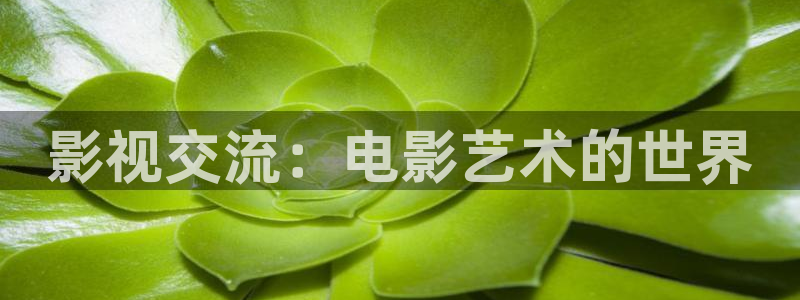 神马影院达达兔